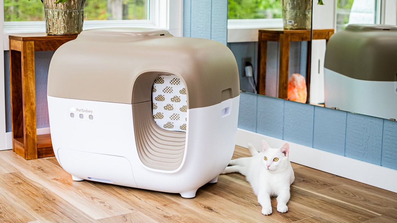 A Smarter Way to Manage Cat Litter: Hands-Free and Hassle-Free